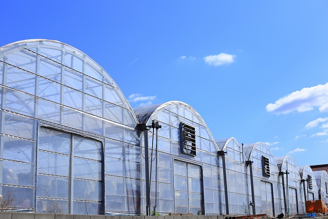 大規模ビニールハウスの建設についてご紹介！