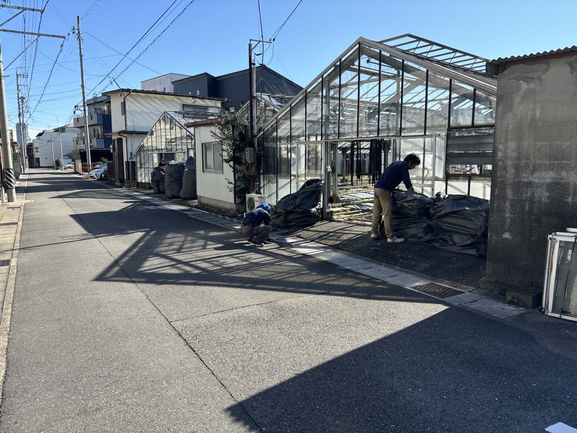 ビニールハウス